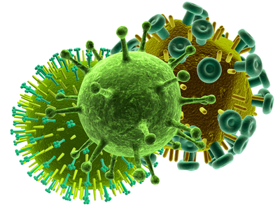 Makrobild von Viren